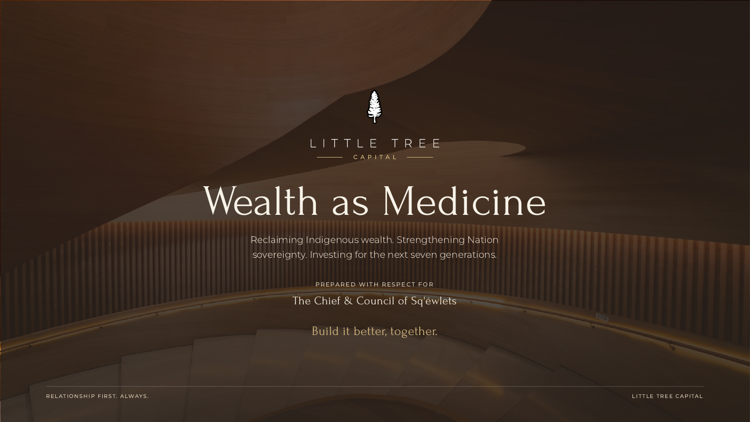 Slide 1 — Cover — Wealth as Medicine