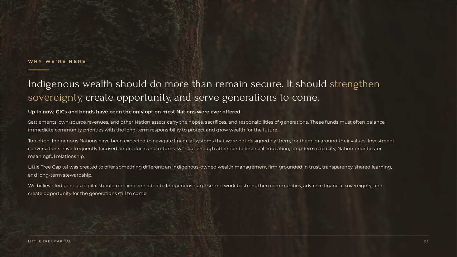 Slide 2 — Why We're Here
