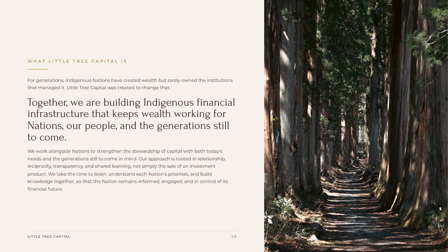 Slide 9 — What Little Tree Capital Is